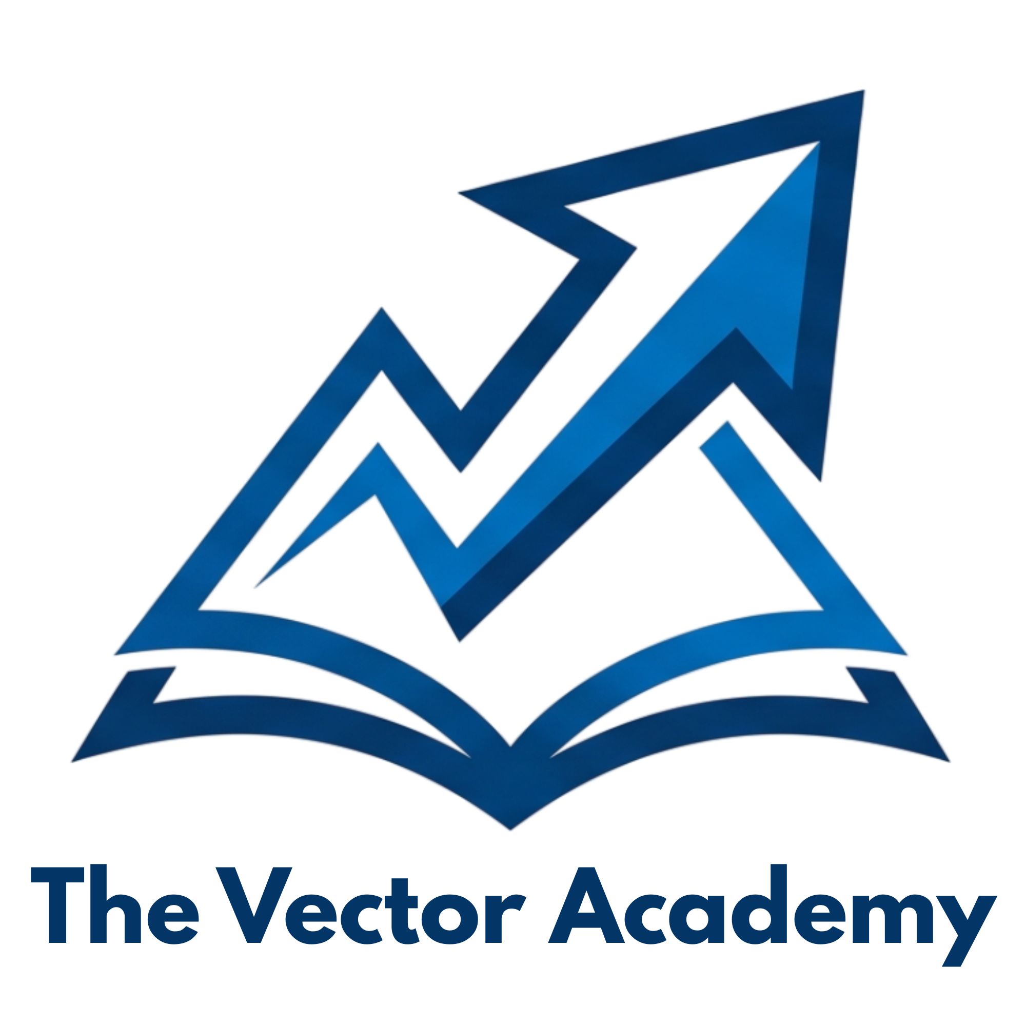 The Vector Academy